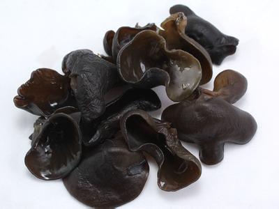 食用菌廠(chǎng)家